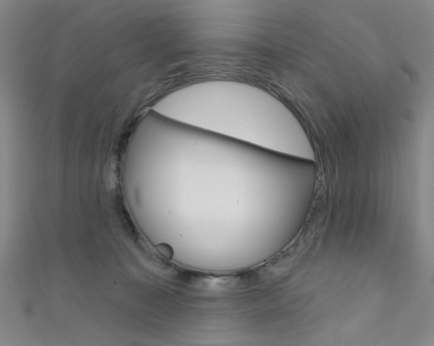 X0000111640323200907171043