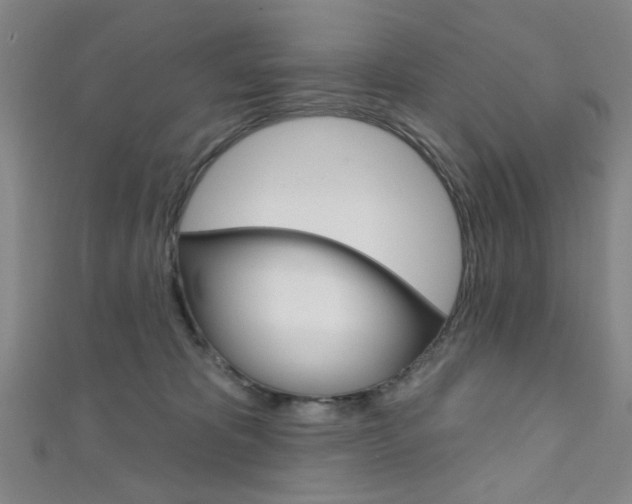 X0000111640325200907171043
