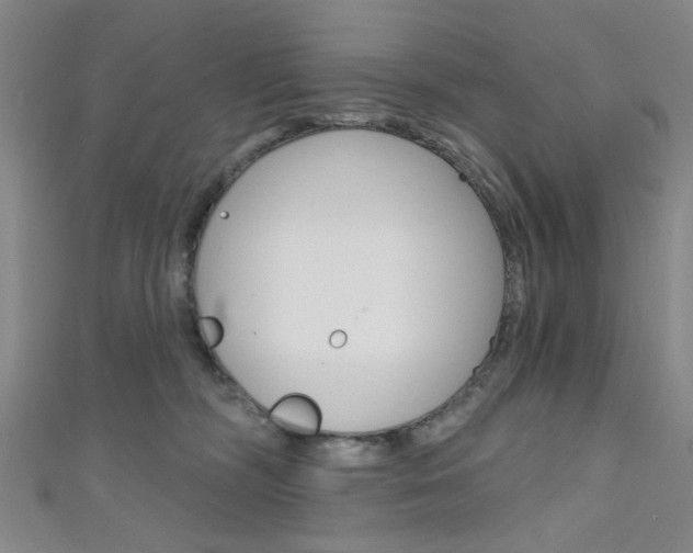 X0000111640326200907171043