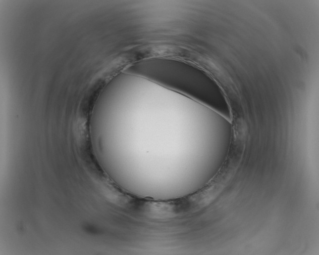 X0000111640327200907171043