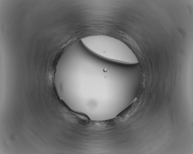 X0000111640329200907171043