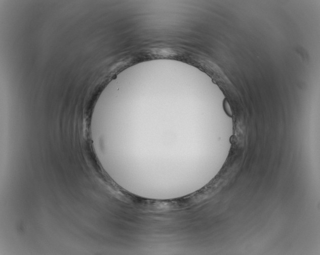 X0000111640330200907171043