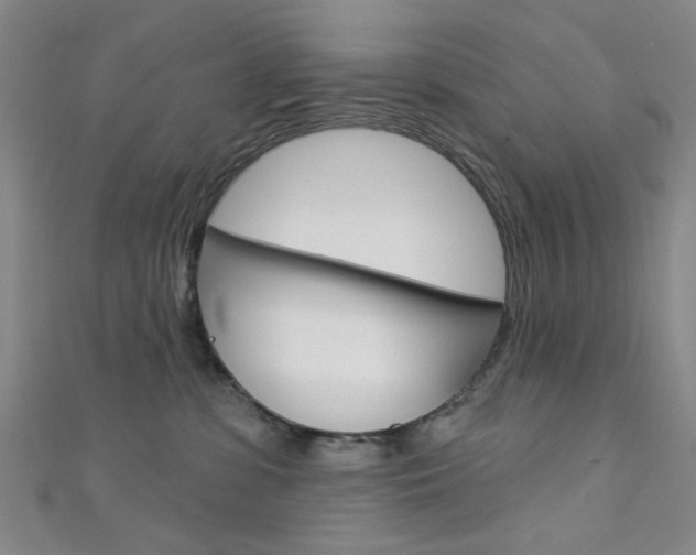 X0000111640331200907171043