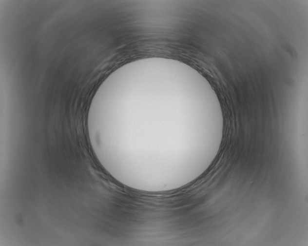 X0000111640332200907171043