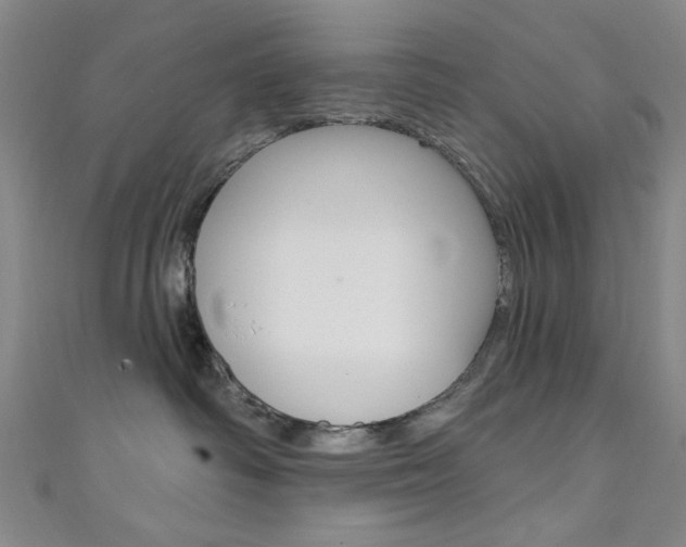X0000111640334200907171043