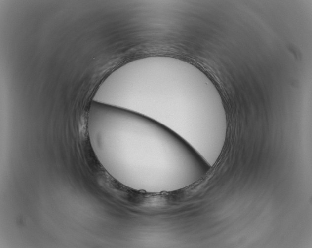 X0000111640335200907171043