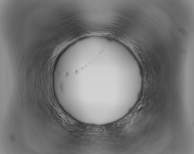 X0000111640337200907171042