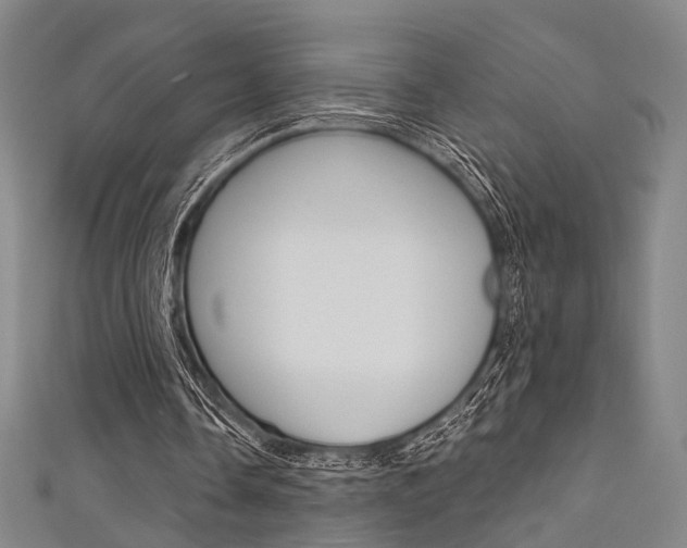 X0000111640338200907171042