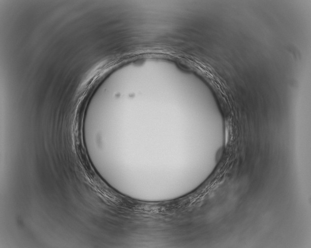 X0000111640339200907171042