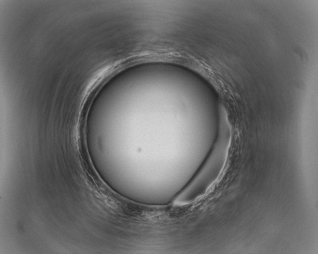 X0000111640340200907171042