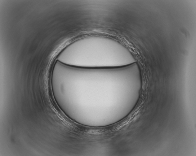 X0000111640341200907171042