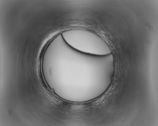 X0000111640342200907171043