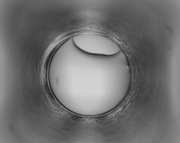 X0000111640343200907171043