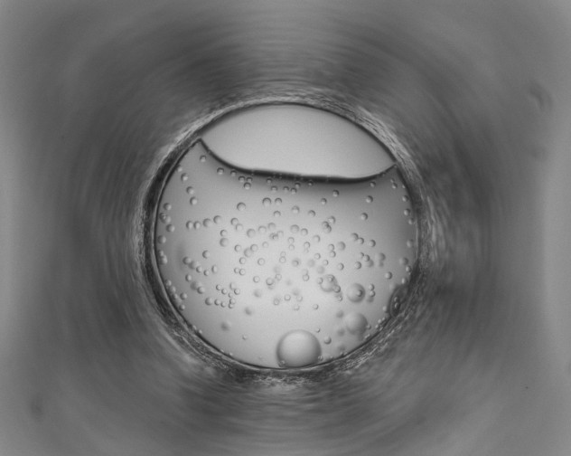 X0000111640346200907171043