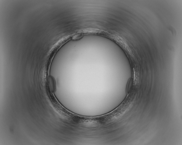 X0000111640348200907171043