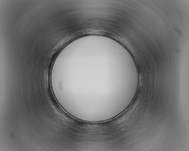 X0000111640349200907171043