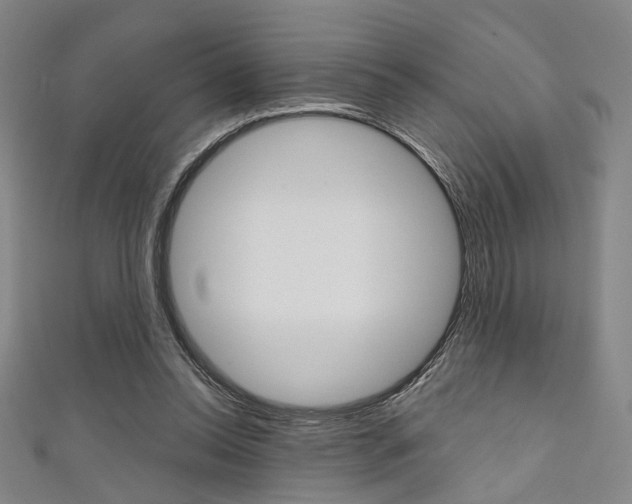 X0000111640350200907171043