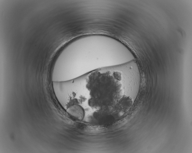 X0000111640351200907171043