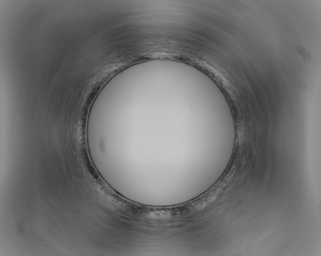 X0000111640353200907171043