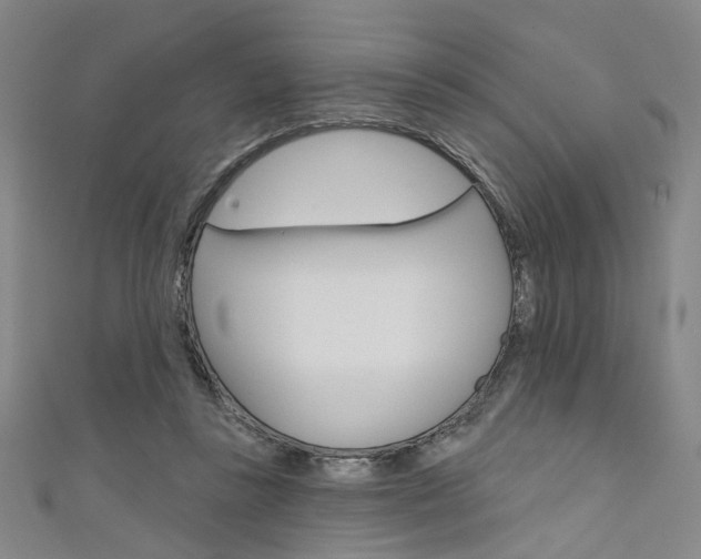 X0000111640355200907171043