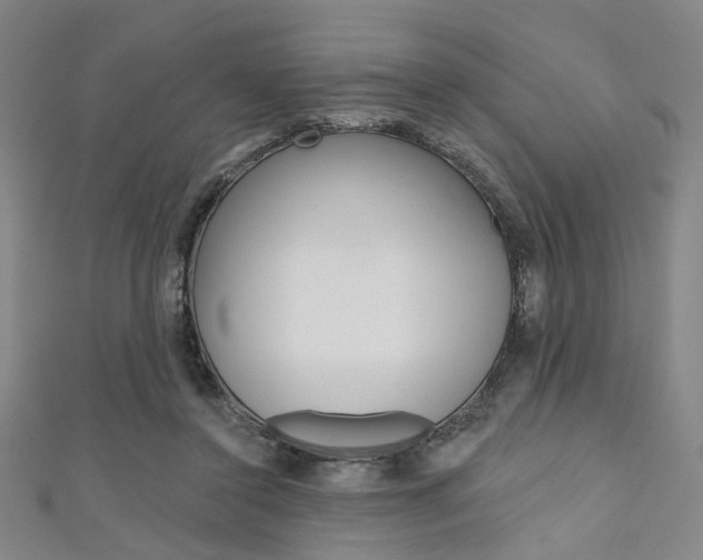 X0000111640356200907171043