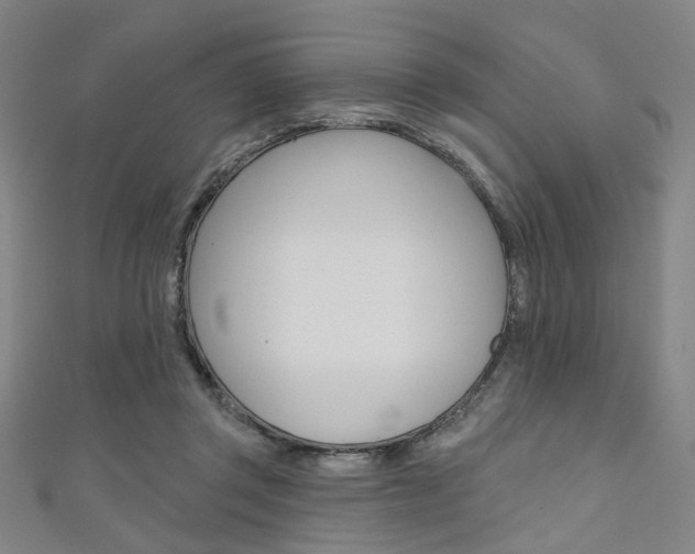 X0000111640357200907171043