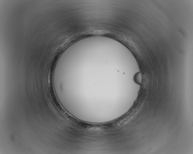 X0000111640358200907171043