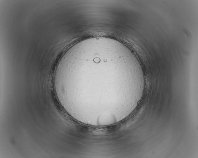 X0000111640359200907171043