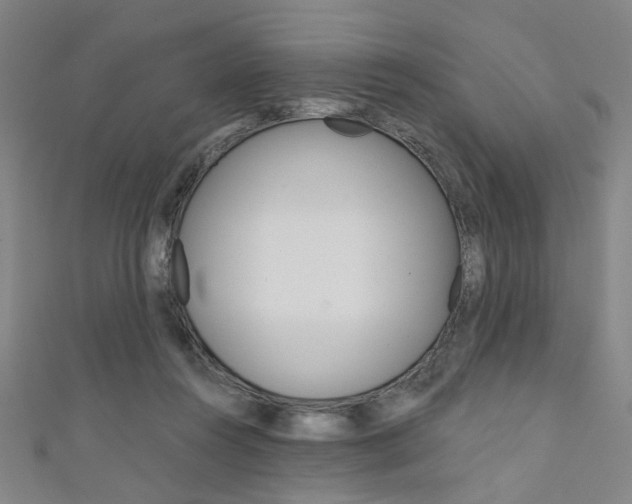 X0000111640360200907171043