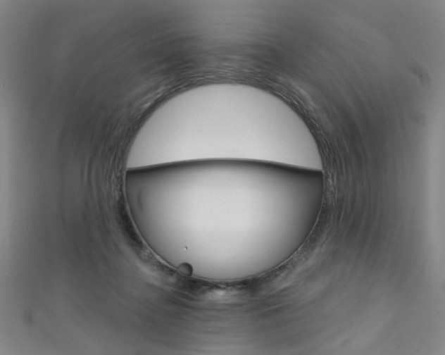 X0000111640364200907171043
