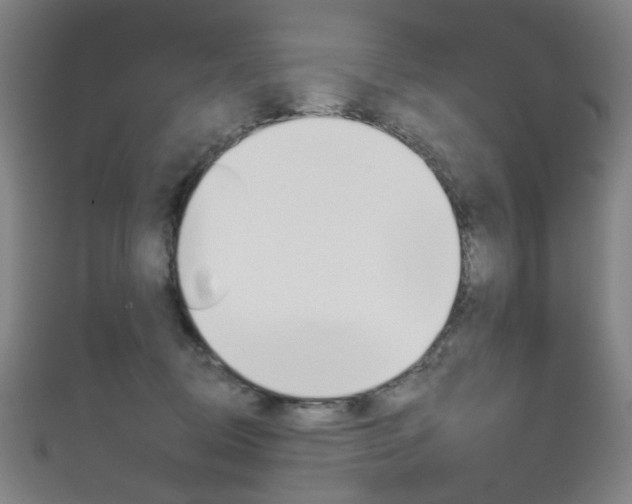 X0000111640370200907171043