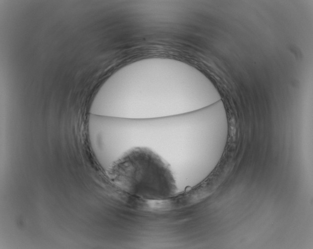 X0000111640371200907171043