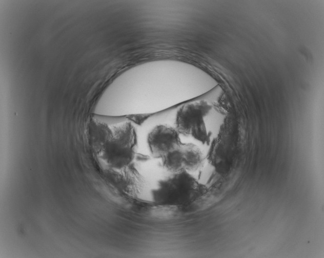 X0000111640373200907171043