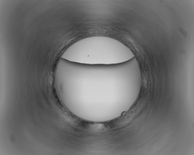 X0000111640374200907171043