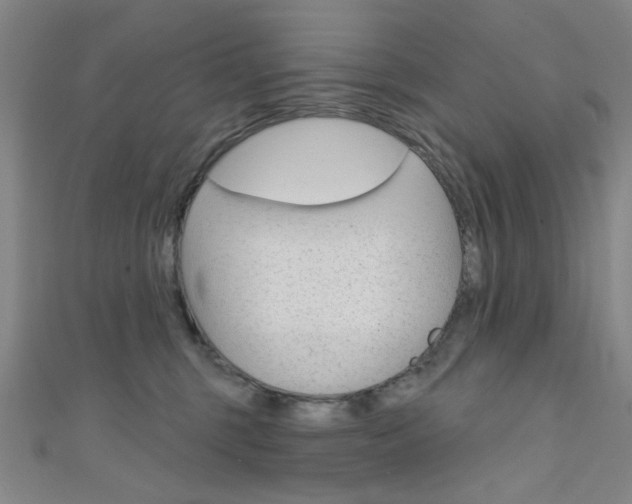 X0000111640375200907171043