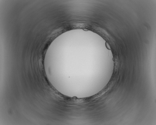 X0000111640377200907171043