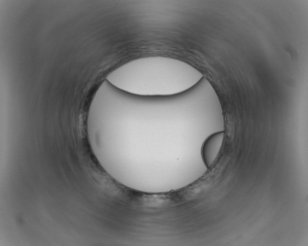 X0000111640378200907171043