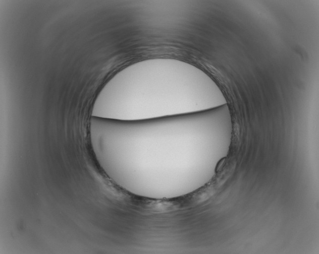 X0000111640379200907171043