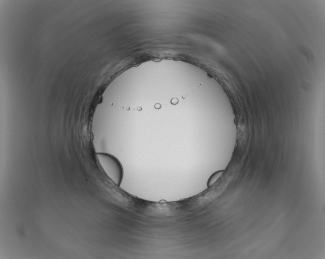 X0000111640381200907171043