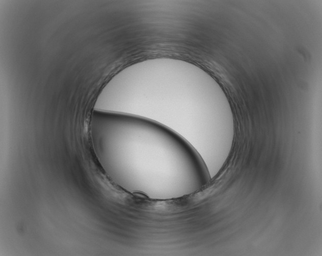 X0000111640382200907171043