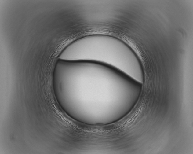 X0000111640385200907171042