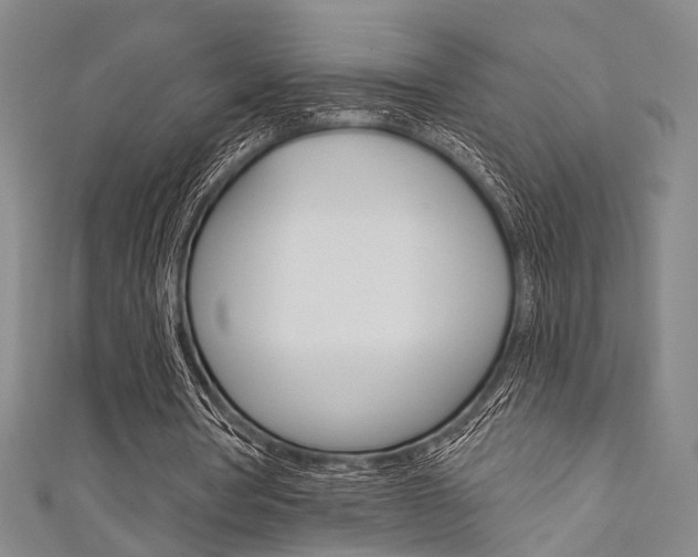 X0000111640386200907171042