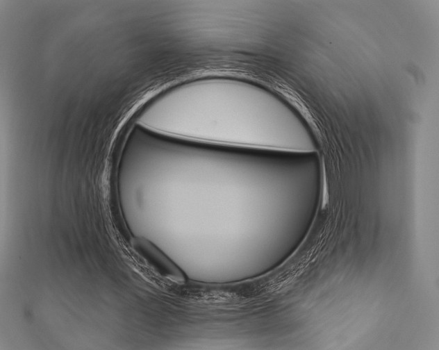 X0000111640387200907171042