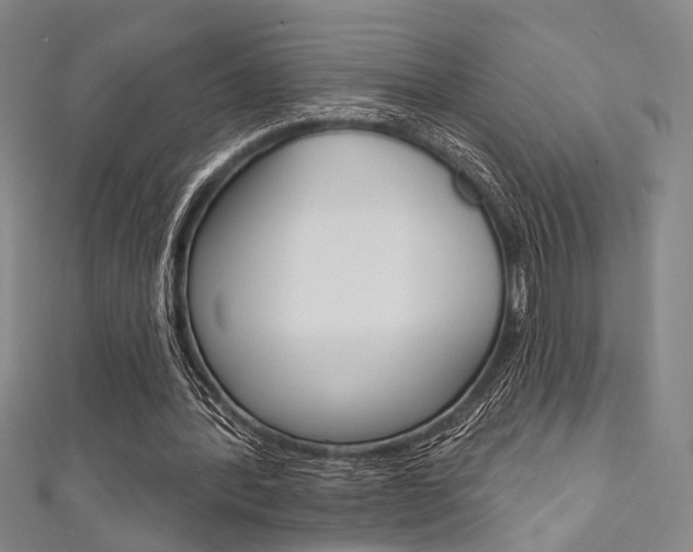 X0000111640388200907171042