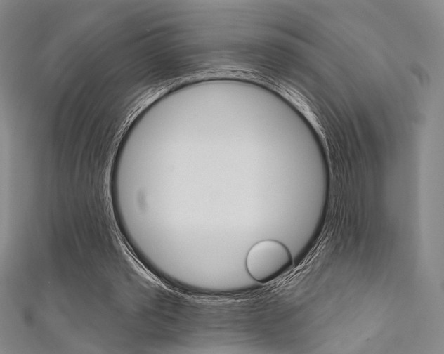 X0000111640389200907171042