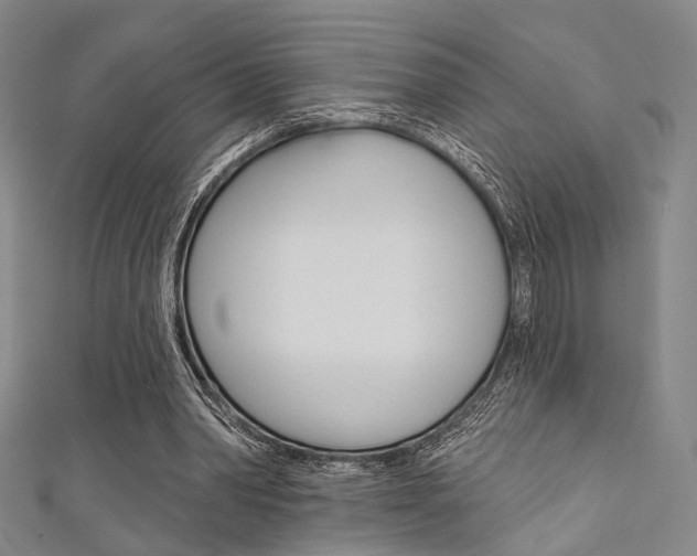 X0000111640390200907171042