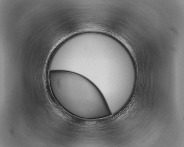 X0000111640391200907171042