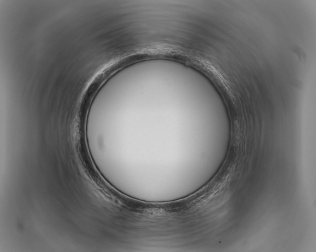 X0000111640392200907171042