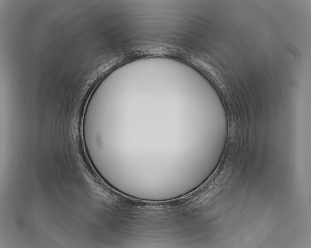 X0000111640394200907171042