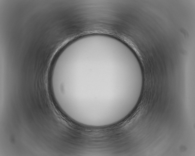 X0000111640395200907171042